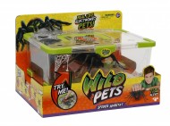 Wild Pets Ragno Interattivo con Luci al LED e Gabbietta Spider Habitat di Giochi Preziosi GPZ28012