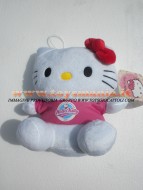 PELUCHE DI STOFFA MORBIDA DI HELLO KITTY CON FIORELLINO ROSSO E MAGLIETTA ROSA CON STAMPA !!