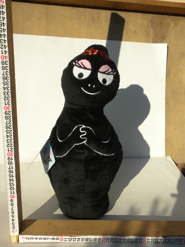 DSCN4298.jpg