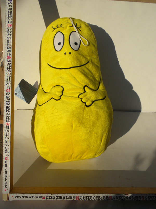 DSCN4308.jpg